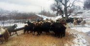 Antalya'da karda mahsur kalan 2 çoban ve sürüsü kurtarıldı