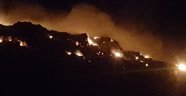 Antalya'da orman yangını