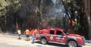 Araçtan atılan izmarit orman yangınına sebep oldu
