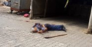 Arazi kavgası kanlı bitti: 1 ölü 2 yaralı