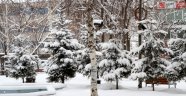 Ardahan'da kar sürprizi