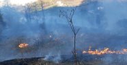 Artvin'de çaylık alanda yangın çıktı
