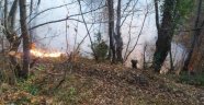Ayancık'ta orman yangını