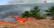 Aydos ormanlarında korkutan yangın