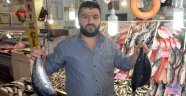 Balık tezgahlarında bereketlilik yaşanıyor