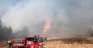 Balıkesir'de çıkan orman yangını söndürüldü