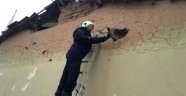 Başı sıkışan kargayı itfaiye ekipleri kurtardı