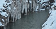 Beytüşşebap buz tuttu