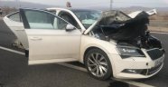 Bingöl'de otomobilin çarptığı eşek telef oldu