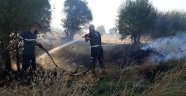 Bingöl'de yangında ağaçlar zarar gördü