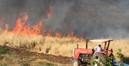 Bir kıvılcım 500 dönümlük tarım arazisini kül etti