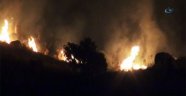 Bodrum'da yangın