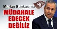 Bülent Arınç: 'Merkez Bankası'na müdahale etmeyeceğiz'