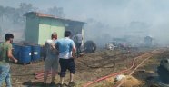 Bursa'da çiftlikte çıkan yangın ormana sıçradı: 20 küçükbaş telef oldu