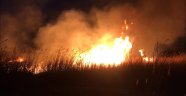 Bursa'da sazlıklar alev alev yandı