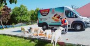 Büyükşehir Belediyesi sokak hayvanlarını unutmuyor