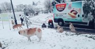  Büyükşehir Belediyesi'nden hayvanlara şefkat eli