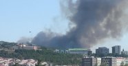 Çanakkale'de orman yangını