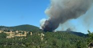 Çanakkale'de orman yangını