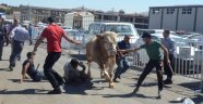 Canlı hayvan pazarında arife yoğunluğu