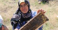 Cesaretiyle erkek arıcılara taş çıkartıyor