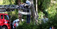 Ceset ağaçtan alınmak istenirken yere düşürüldü