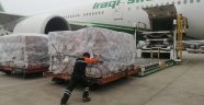 Çin'den Irak'a korona virüs yardımı
