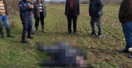 Çoban tarlada ölü bulundu