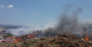 Çöplük yangınını itfaiye söndürdü