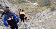 Dağda mahsur kalan keçileri AFAD kurtardı