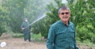 Dalbastı kirazında toplu ilaçlamalar başladı