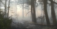 Datça'da 3 dönüm ormanlık alan kül oldu
