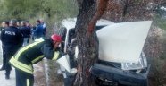 Denizli'de otomobil ağaca çarptı: 1 ölü 1 yaralı