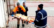 Depremde yaralanan hayvanlar tedavi ediliyor