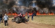 Diyarbakır'da 70 dönüm ekili arazi kül oldu