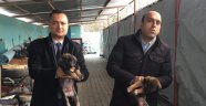 Donmak üzere olan köpek yavrularını kaymakam kurtardı