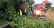 Düzce'de ağaçlar devrildi, sokaklar sular altında kaldı