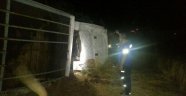 Elazığ'da trafik kazası: 5 yaralı, 50 hayvan telef oldu