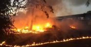 Erdemli'de çıkan yangın korkuttu
