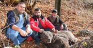 Erzurum'da boz ayıyı vurdular