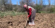 Eşi dışarı çıkamadığı için tarlasını tek başına çapalayıp ekiyor