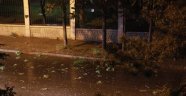 Eskişehir'de şiddetli rüzgar ağaç dallarını kırdı