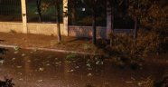Eskişehir'de şiddetli rüzgar ağaç dallarını kırdı