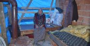 Evi yanan yaşlı kadın çadırda yaşam mücadelesi veriyor