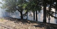 Feke'de orman yangını