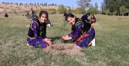 Fidan dikme kampanyası