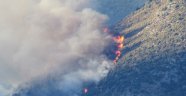 Finike'de makilik alanda yangın