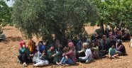Gaziantep'te damat cinneti: 3 ölü, 1 yaralı