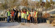 Gelincik Tepesi'ne 150 Ağaç Dikildi