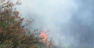 Gemlik'de orman yangını